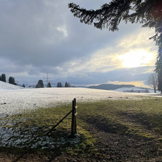 Schneebedeckte Wiese im Allgäu