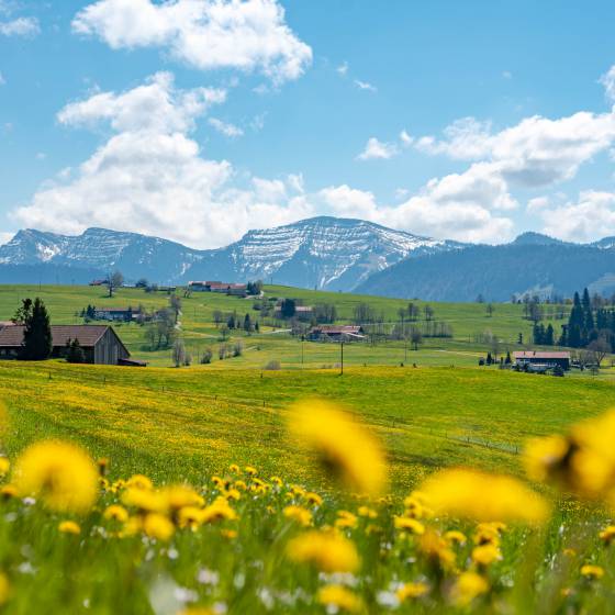 Warme Tage im Allgäu: Sommer Highlights - Königshof Hotel Resort