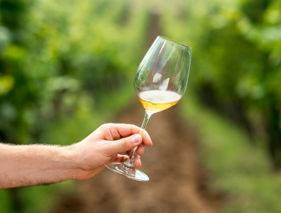 Highlights Winzer-Weekend