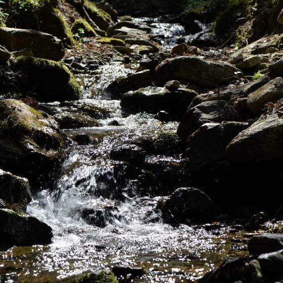 Waldbach Hausbachklamm