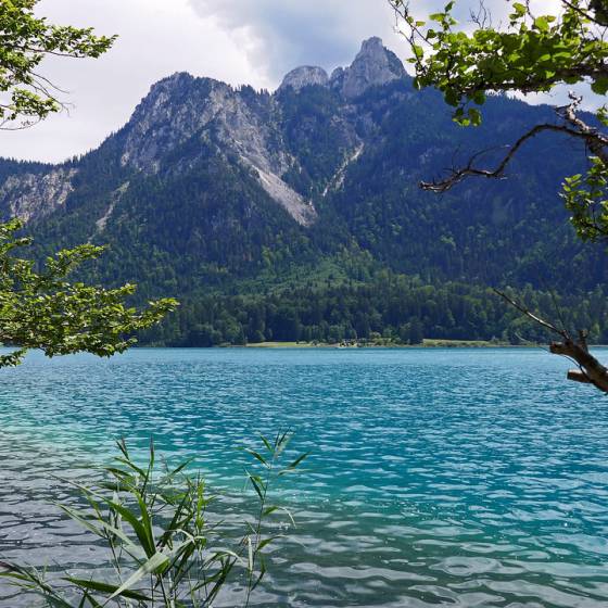 Panoramablick auf den Alpsee