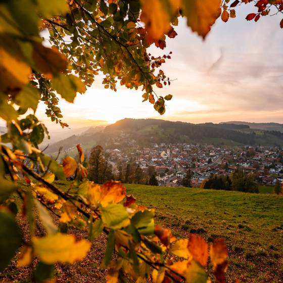 Herbst in Oberstaufen