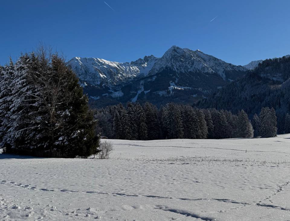 schneebedeckte Wiese mit Blick auf die Allgäuer Alpen